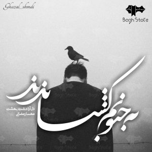دانلود کتاب داستان به جنونم کشاندند از دل‌آرا دشت‌بهشت|مهسا رمضانی