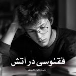 دانلود رمان ققنوسی در آتش از ملیسا کوه کبیری