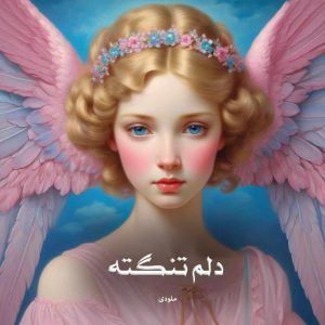 رمان دلم تنگته