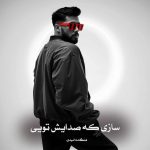 دانلود رمان سازی که صدایش تویی از هنگامه امیدی