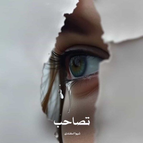 رمان تصاحب