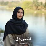 دانلود رمان انیس دل از صدیقه بهران فر